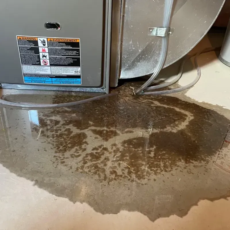 Appliance Leak Cleanup in Hancock, MD